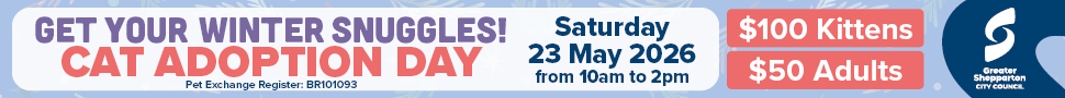 Winter Snuggles Cat Adoption - Digital Ads - Shepp News4