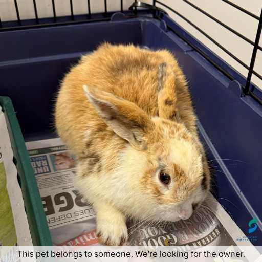 Photo of other with ID of : L890.