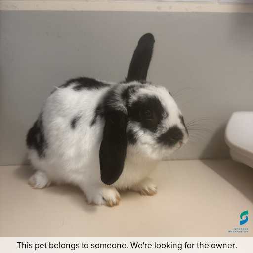 Photo of other with ID of : L899.