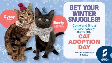 Winter Snuggles Pet Adoption - Facebook Event Cover