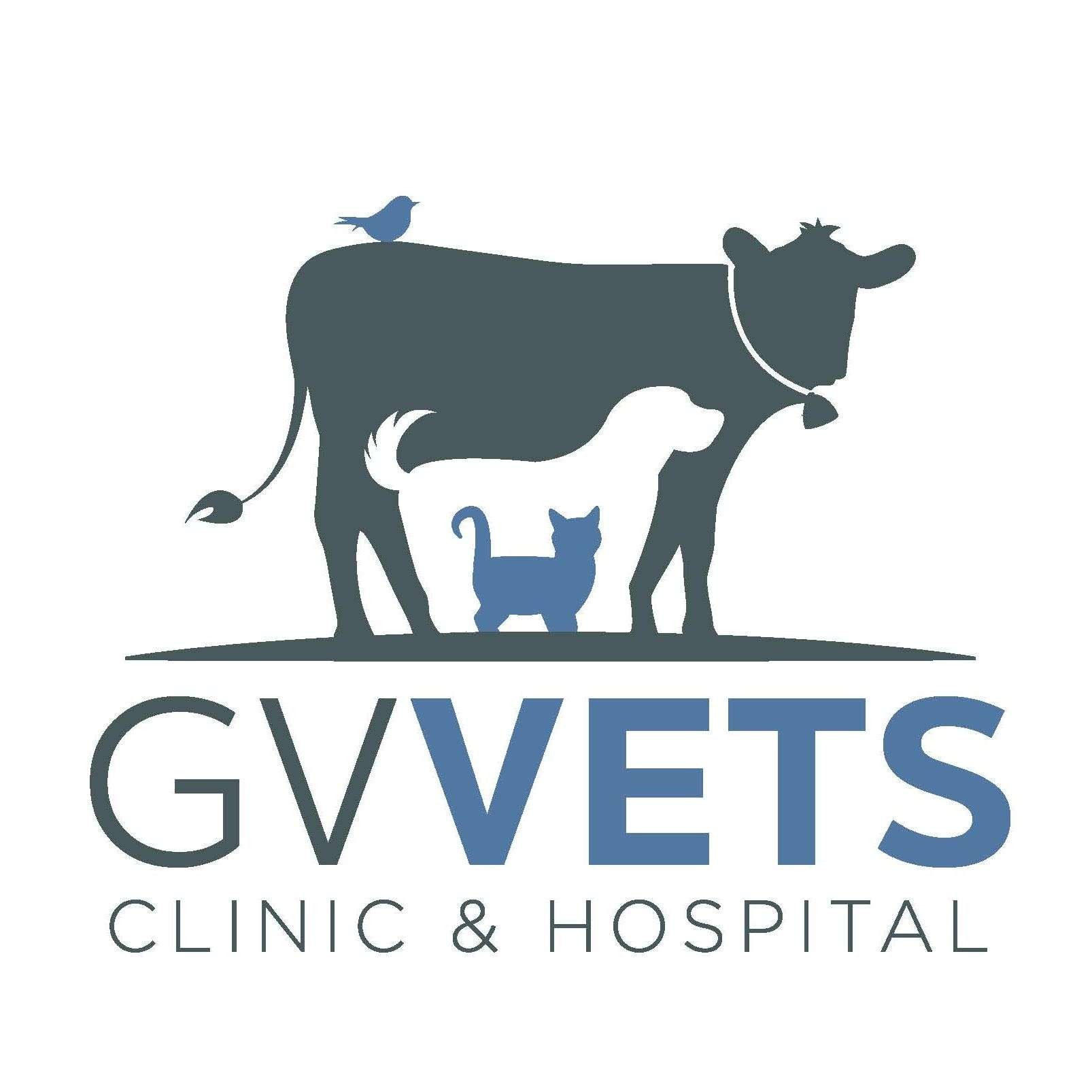 GV Vets logo Colour Vertical JPEG