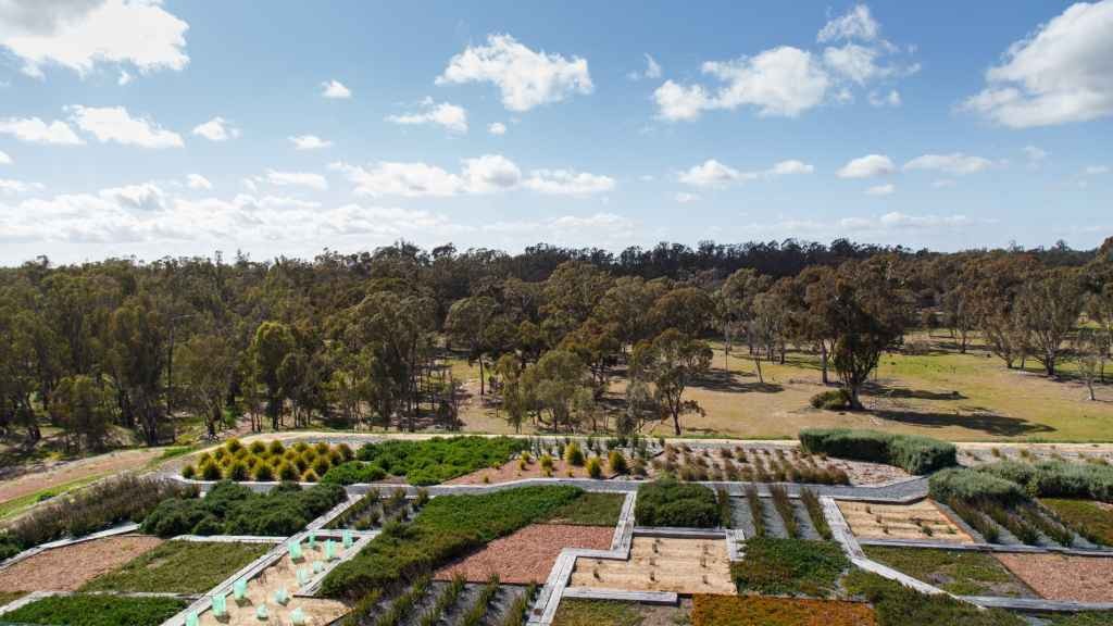 Cover graphic for Keep updated on the Botanic Gardens