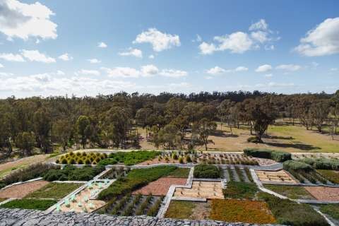 Botanic Gardens-20150922-8077