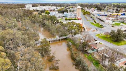 The Goulburn River in flood at Mooroopna, September 2022