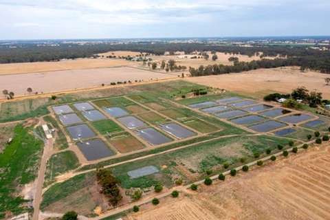 Arcadia Fish Hatchery Open Day - Drone