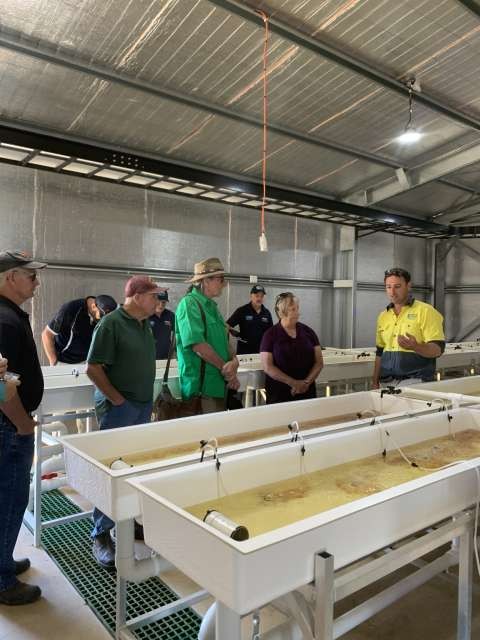 Arcadia Fish Hatchery Open Day - Tour