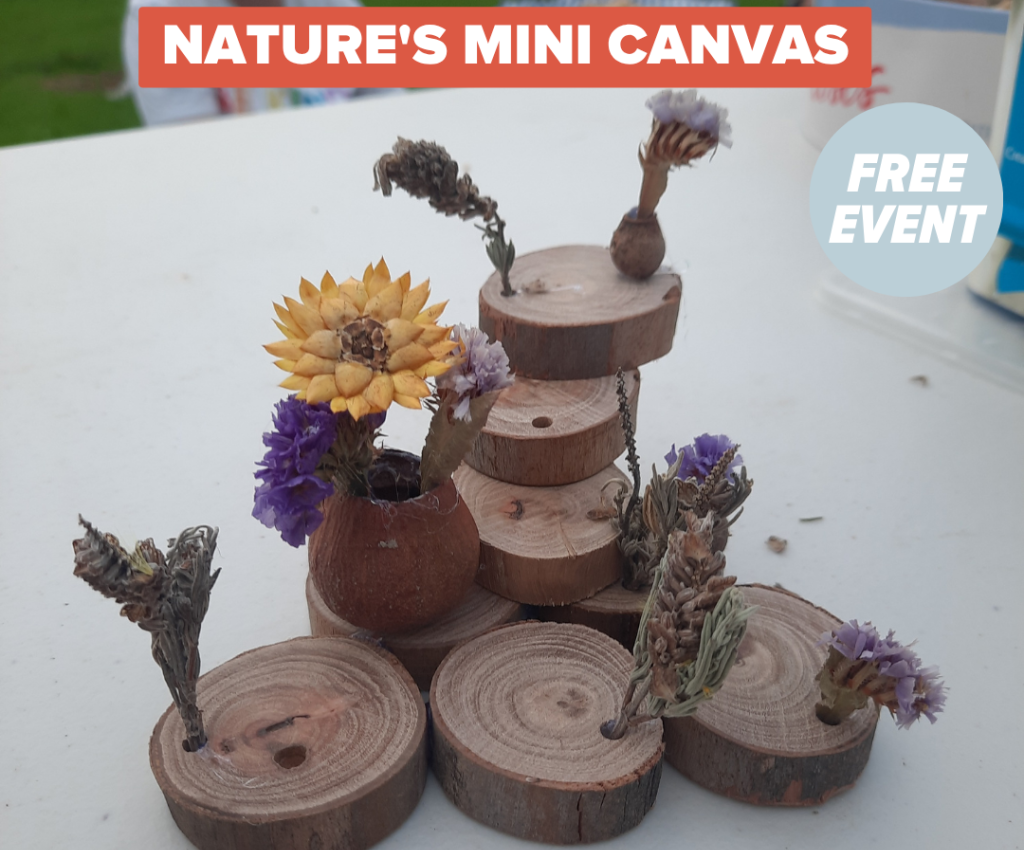 Cover image for event - Nature’s Mini Canvas