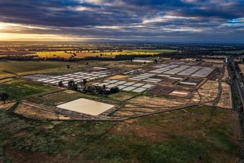 1770174731-Hatchery_pic