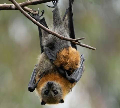 Suzanne Barker Photography