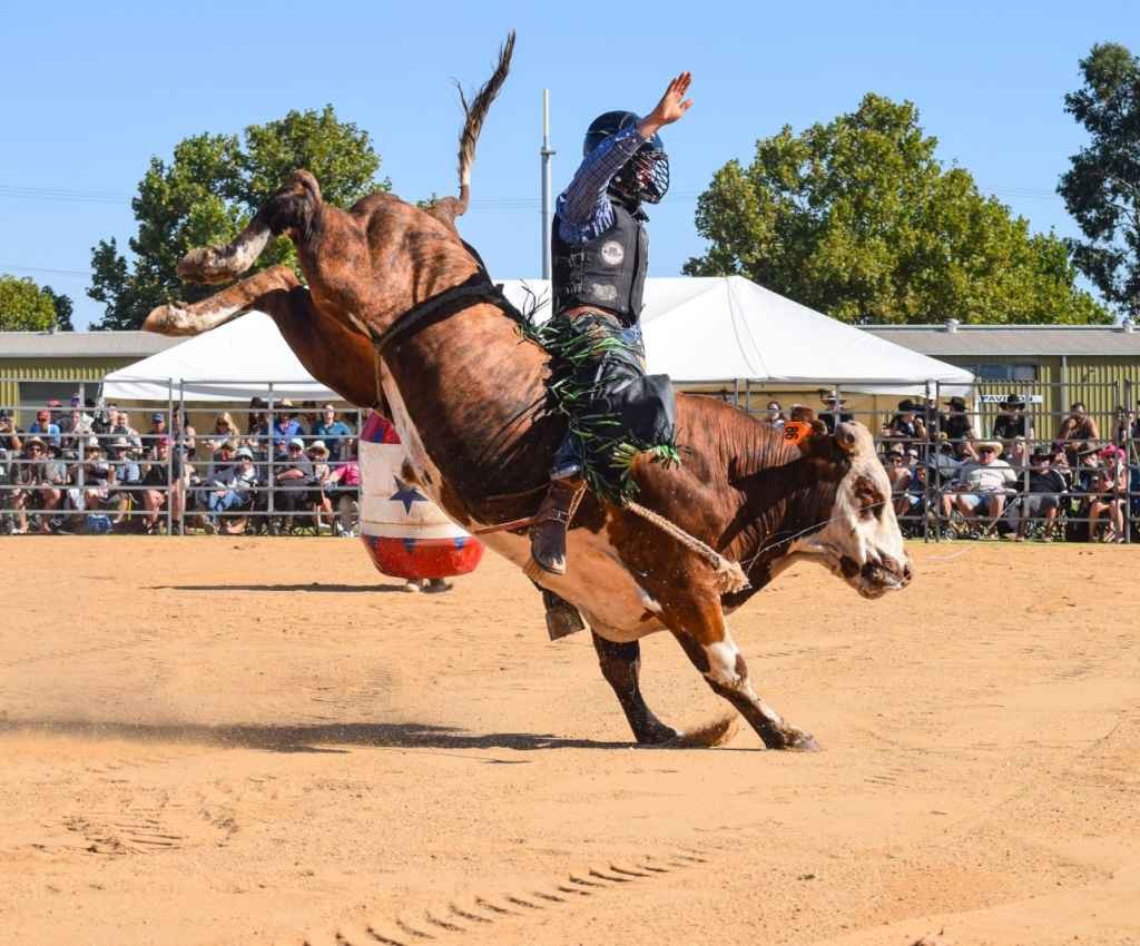 Cover image for event - Shepparton Rodeo 2026