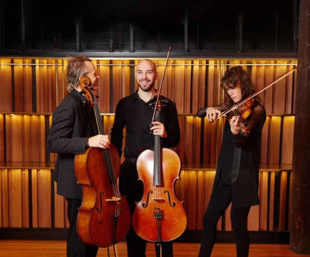 Cover image for event - Riverlinks & the Australian Chamber Orchestra present ACO Collective - Bach, Brahms & Pärt