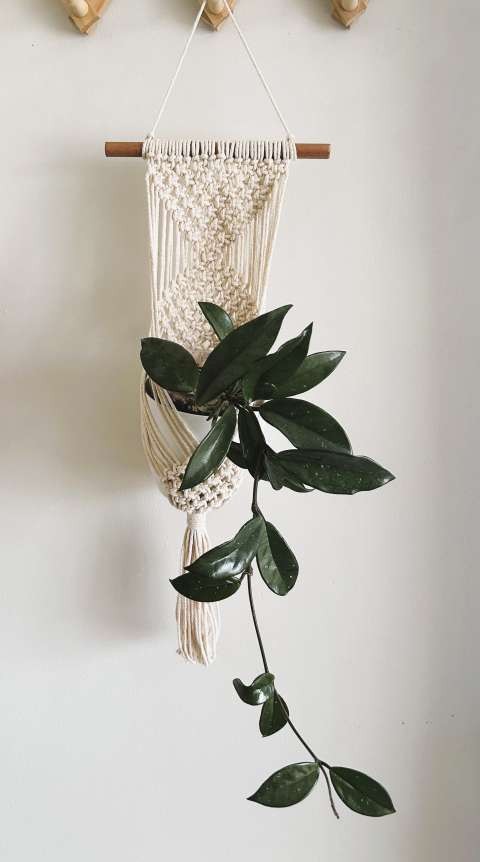 1785826199-Macrame_Wall_Plant_Hanger