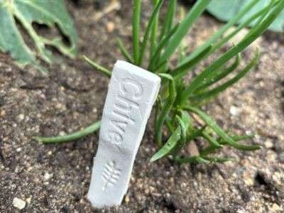 1790646649-AirDryClay-PlantLabels