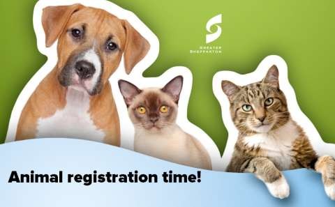 GSCC-Animal-Registration