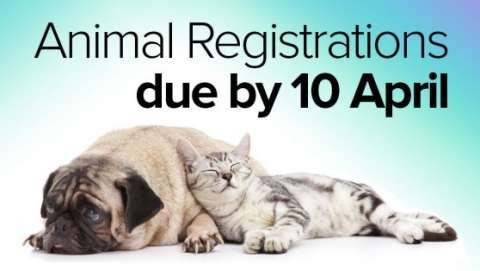 animal registrations~558x400 e3e7
