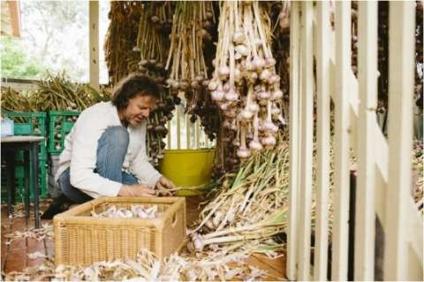 garlic