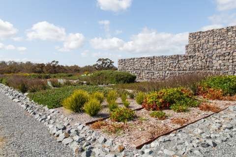 Botanic Gardens-20150922-8096