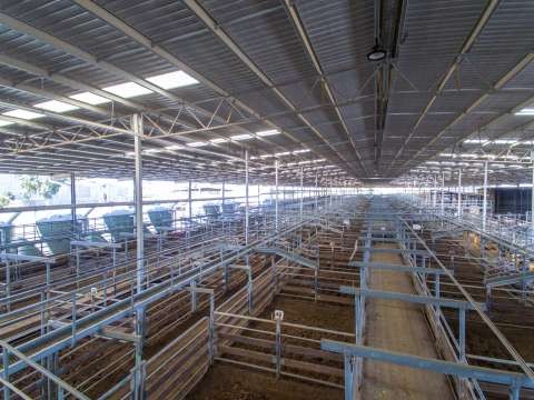 Shepparton Saleyards Aerial Drone - 20170308 - 0110