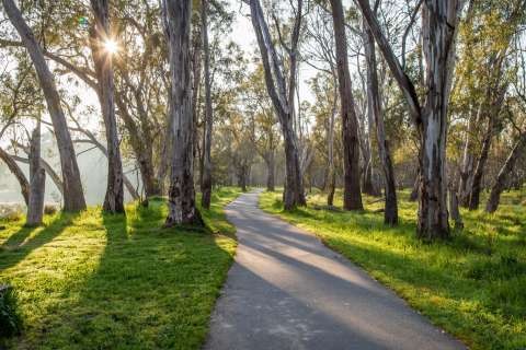 Confluence Goulburn River photo2