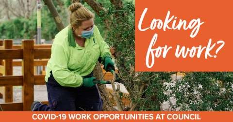 Working for Vic Recruitment Social Graphics NEW