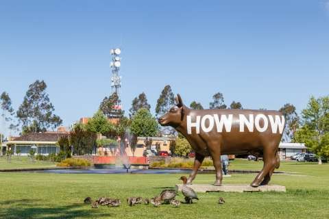 Monash Park-20151015-0135