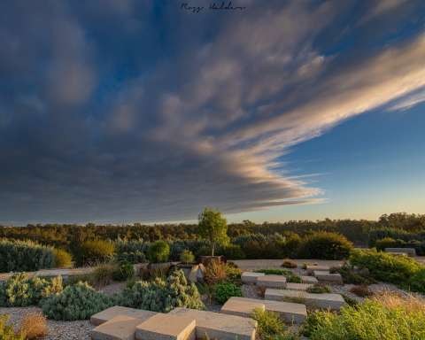 botanical gardens - Copy