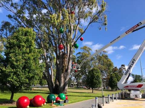 Christmas Baubles Lake Tree