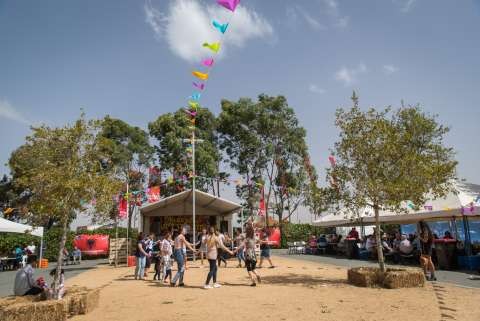 Albanian Harvest Festival - 20180318 - 3979