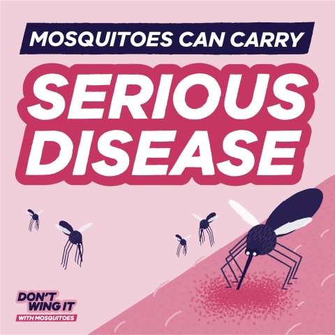 DH 2211311 Protect yourself from mosquitoes Social tile 15