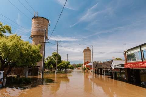 FLOOD 2022 - October 17 20221G5A1436 LINGY H
