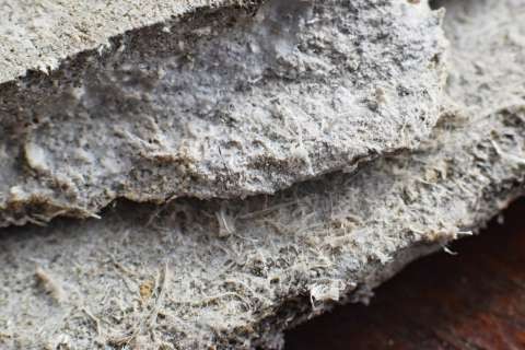 asbestos - web photo