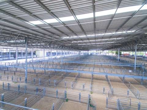 Shepparton Saleyards Aerial Drone - 20170308 - 0119