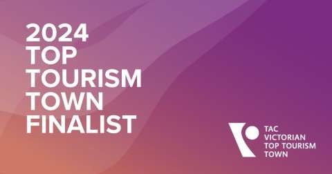 Top Town Finalists