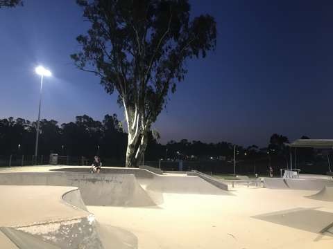IMG 0347