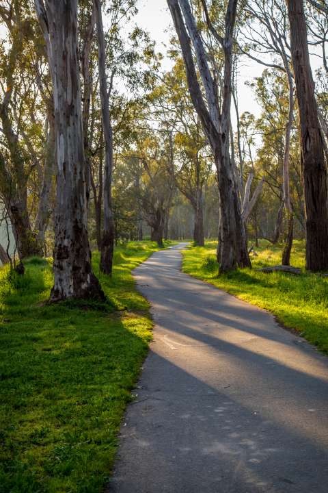 Goulburn River - 20160906 - 5036