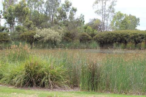 Lake Bartlett Official Opening - 20171124 - 0042