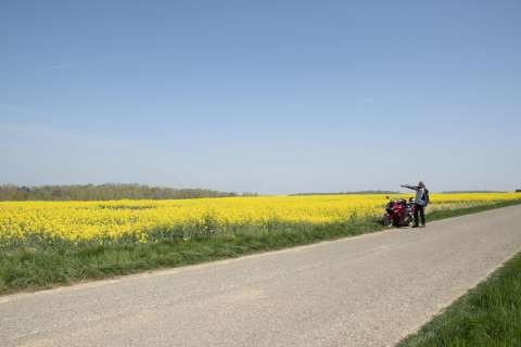 Motorbike and Canola