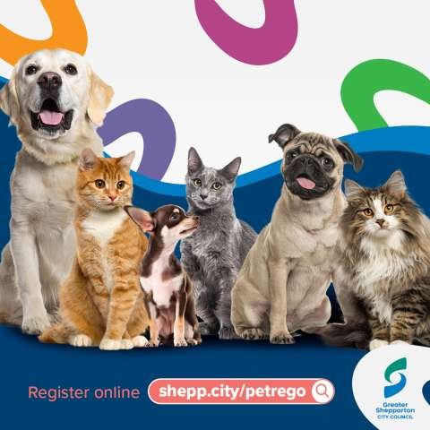 Animal Registration Social Media2