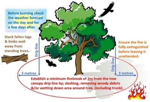 Stubble burning Protecting paddock trees. State Government of Victoria 